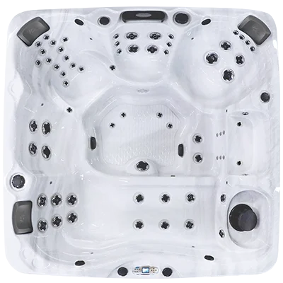 Avalon EC-867L hot tubs for sale in Parker